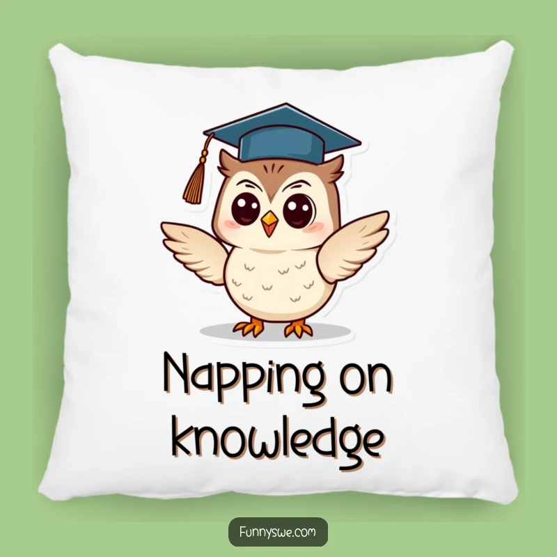 Comfy Funny Owl Graduation Pillow: Rest Your Head on Wise Dreams, Adorable Funny Gift